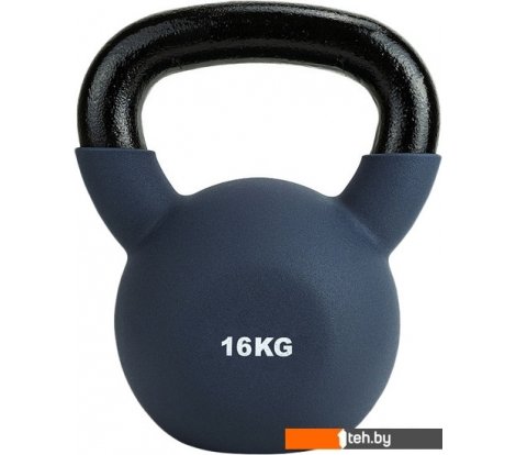  - Гантели, гири, штанги Torres PL552216 16 кг (серый) - PL552216 16 кг (серый)