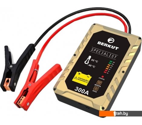  - Пуско-зарядные устройства Беркут JSC-300C - JSC-300C