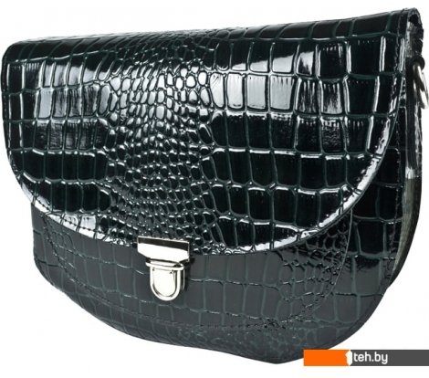  - Женские и мужские сумки Carlo Gattini Classico Filare 7019-07 (голубой) - Classico Filare 7019-07 (голубой)