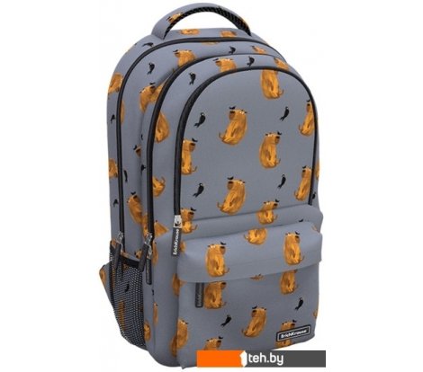  - Рюкзаки Erich Krause ActiveLine Ergoback 22L Capybara 60319 - ActiveLine Ergoback 22L Capybara 60319