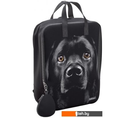  - Рюкзаки Erich Krause StreetLine 16L Black Dog 60343 - StreetLine 16L Black Dog 60343