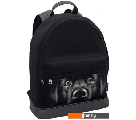  - Рюкзаки Erich Krause StreetLine Black Dog 60349 - StreetLine Black Dog 60349