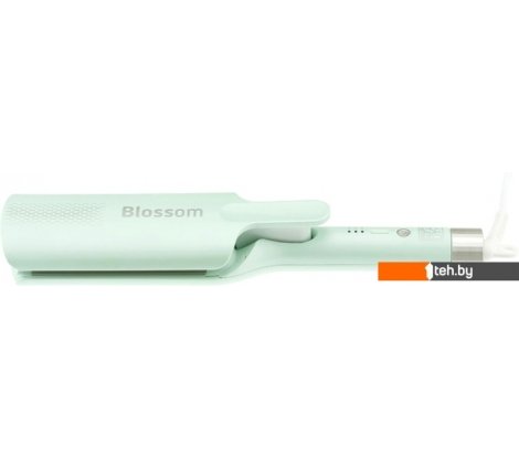  - Стайлеры Dewal Beauty Blossom HI2090 (зеленый) - Beauty Blossom HI2090 (зеленый)