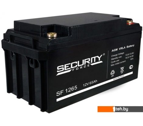  - Аккумуляторы для ИБП Security Force SF 1265 (12В/65 А·ч) - SF 1265 (12В/65 А·ч)