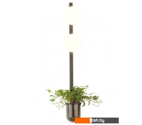  - Светильники, люстры, бра, споты Odeon Light Flower 4681/2WA - Flower 4681/2WA