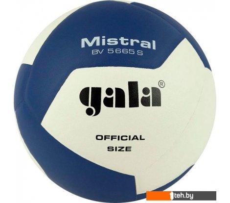  - Мячи Gala Mistral 12 BV 5665 S (размер 5, белый/синий) - Mistral 12 BV 5665 S (размер 5, белый/синий)