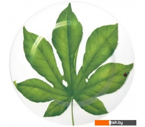  - Тарелки, салатники, блюда и наборы Taitu Freedom Leaf 1-86-B - Freedom Leaf 1-86-B