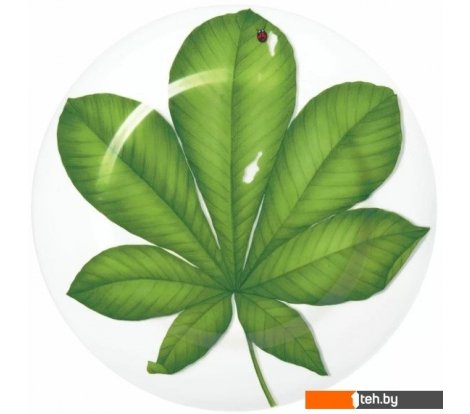  - Тарелки, салатники, блюда и наборы Taitu Freedom Leaf 1-86-D - Freedom Leaf 1-86-D