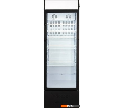  - Торговые холодильники Бирюса B310PN - B310PN