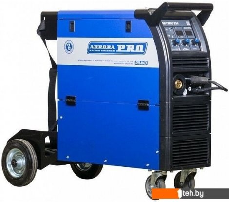  - Сварочные инверторы AuroraPRO SkyWay 250 - SkyWay 250