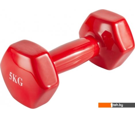  - Гантели, гири, штанги VictoryFit VF-DV050 5 кг - VF-DV050 5 кг