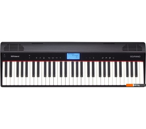  - Синтезаторы и рабочие станции Roland Go:Piano GO-61P - Go:Piano GO-61P