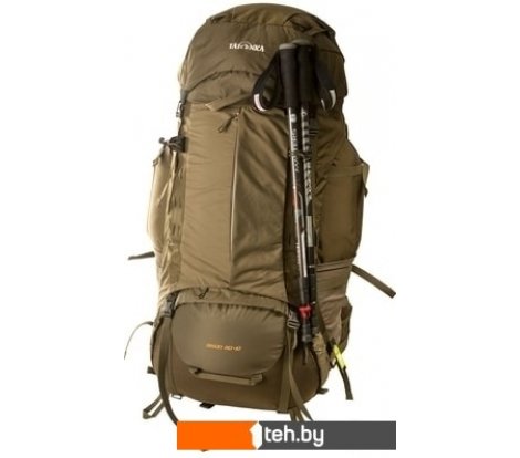  - Рюкзаки Tatonka Bison 120+15 (olive) - Bison 120+15 (olive)