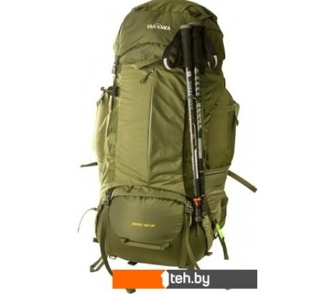  - Рюкзаки Tatonka Bison 90+10 (olive) - Bison 90+10 (olive)