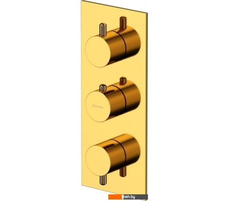  - Смесители Whitecross Y Y1238GL (золото) - Y Y1238GL (золото)