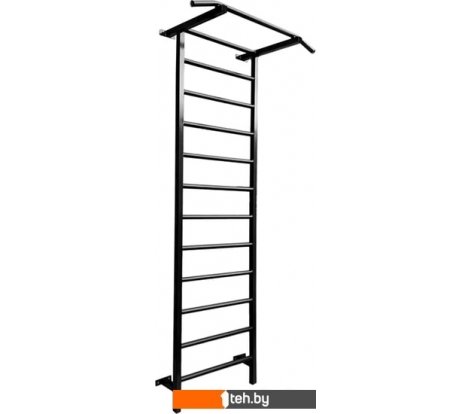  - Детские спортивные комплексы и игровые площадки Dinamika ZSO-002309 (2800х790 мм, металлическая) - ZSO-002309 (2800х790 мм, металлическая)