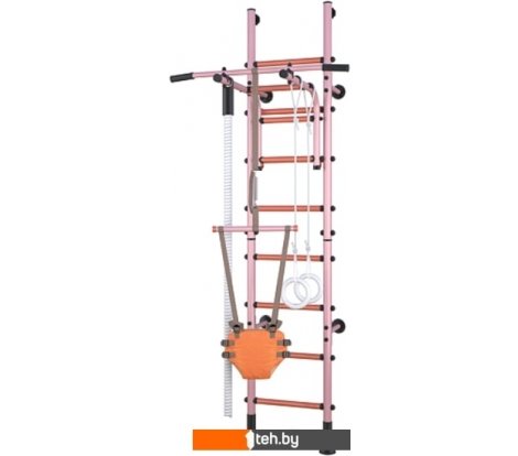  - Детские спортивные комплексы и игровые площадки Polini Kids Sport Turbo (розовый) - Sport Turbo (розовый)