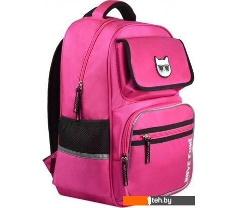  - Рюкзаки Феникс+ Кот в очках 59256 (розовый) - Кот в очках 59256 (розовый)