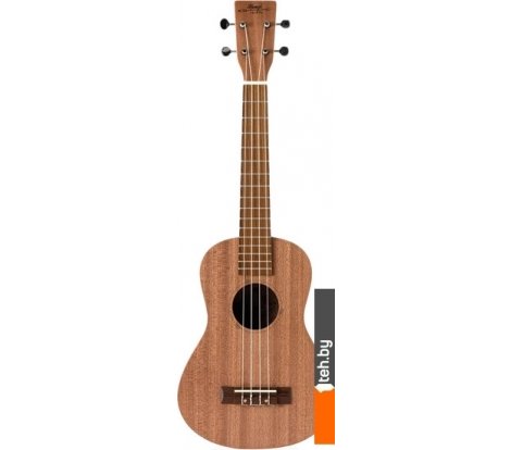  - Гитары Hampi TBR - TBR