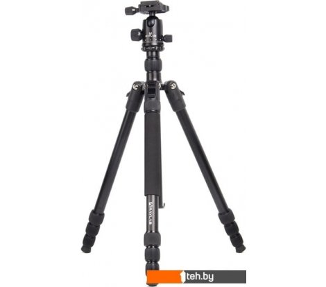  - Штативы и стабилизаторы для фото-, видео- и световой техники Raylab Pro 75 (с головой) - Pro 75 (с головой)