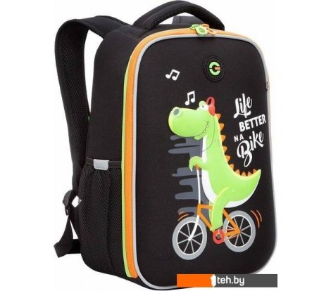  - Рюкзаки Grizzly RAw-397-7 (черный) - RAw-397-7 (черный)