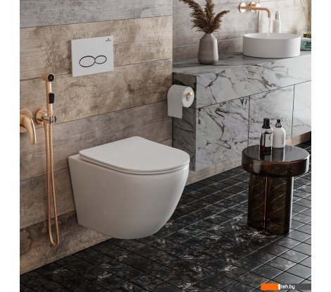  - Унитазы Roxen Antares Tornado 530205-01 - Antares Tornado 530205-01