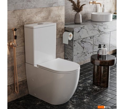  - Унитазы Roxen Antares Tornado Rimless Soft Close 600185-01 - Antares Tornado Rimless Soft Close 600185-01