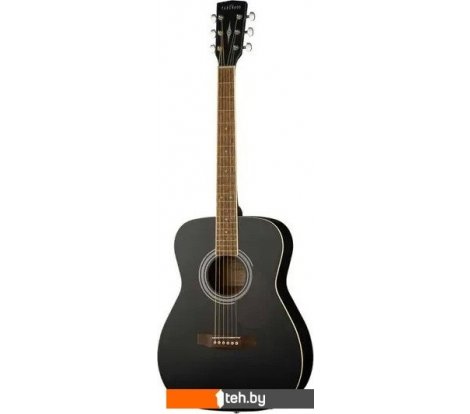  - Гитары Parkwood PF51E-WBAG-BKS - PF51E-WBAG-BKS