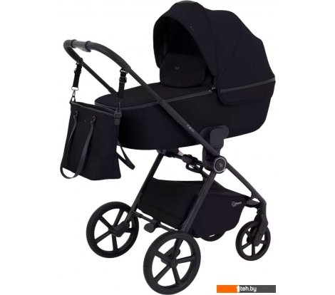  - Детские коляски и аксессуары Rant Teo 2в1 RA120 (черный) - Teo 2в1 RA120 (черный)