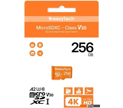  - Карты памяти BreezyTech Ultra microSDXC Class 10/A2/V30 256GB (без адаптера) - Ultra microSDXC Class 10/A2/V30 256GB (без адаптера)