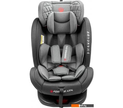  - Автокресла Forsage Kids BS12 (grey) - BS12 (grey)