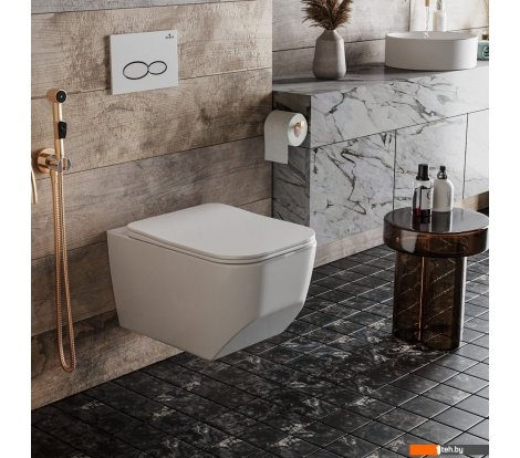  - Унитазы Roxen Boro 530145-01 Rimless Soft Close - Boro 530145-01 Rimless Soft Close