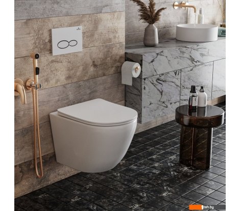  - Унитазы Roxen Antares 530185-01 Rimless Soft Close - Antares 530185-01 Rimless Soft Close