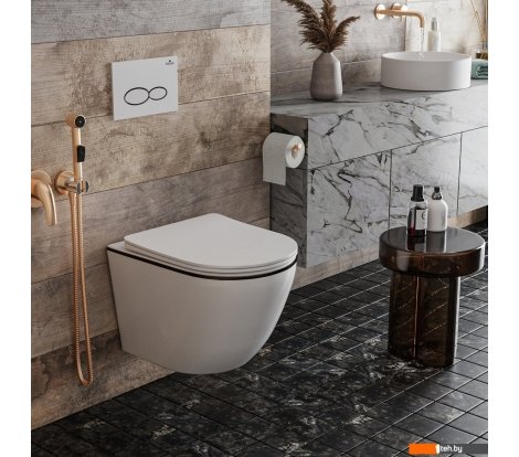  - Унитазы Roxen Antares Black 530110-01B Rimless Soft Close - Antares Black 530110-01B Rimless Soft Close