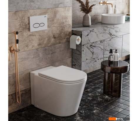  - Унитазы Roxen Antares 650185-01 Rimless Soft Close - Antares 650185-01 Rimless Soft Close