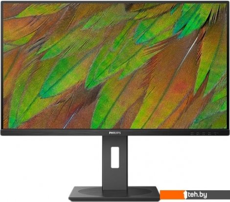  - Мониторы Philips 32B1N3800/00 - 32B1N3800/00