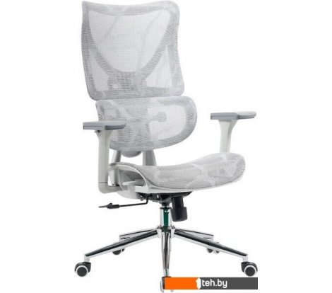  - Офисные кресла и стулья myroo Office Wizard HS-3853H-1-G (light grey) - Office Wizard HS-3853H-1-G (light grey)