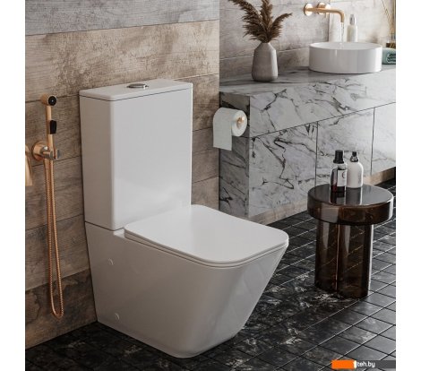  - Унитазы Roxen Amati Tornado Rimless Soft Close 600165-01 - Amati Tornado Rimless Soft Close 600165-01