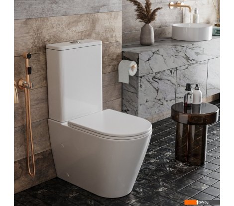  - Унитазы Roxen Wailet Tornado Rimless Soft Close 600175-01 - Wailet Tornado Rimless Soft Close 600175-01