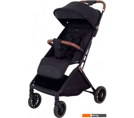  - Детские коляски и аксессуары Rant Joy RA303 (золото/черный) - Joy RA303 (золото/черный)