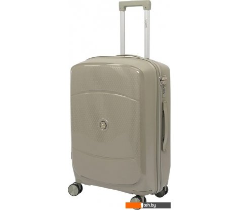  - Чемоданы, сумки-тележки VALIGETTI 344-2201/3-24GGN (серый) - 344-2201/3-24GGN (серый)