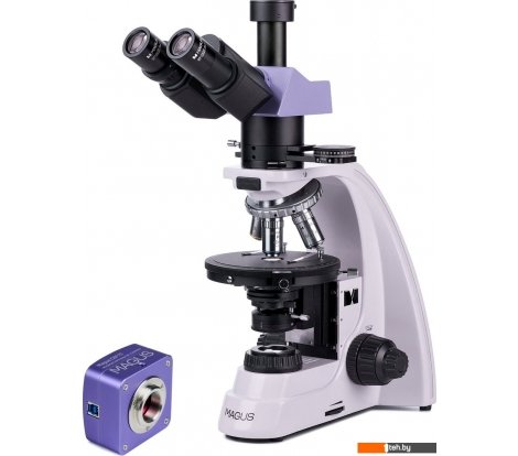  - Игры-опыты, эксперименты Magus Pol D800 83040 - Pol D800 83040