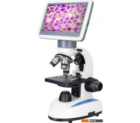  - Игры-опыты, эксперименты Levenhuk D85L LCD 78902 - D85L LCD 78902