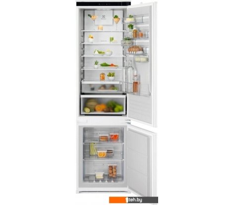  - Холодильники Electrolux ENT6MD19S3 - ENT6MD19S3
