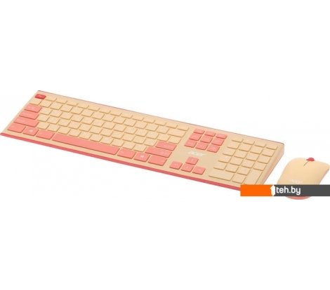  - Наборы периферии Acer OCC205 (бежевый/розовый) - OCC205 (бежевый/розовый)