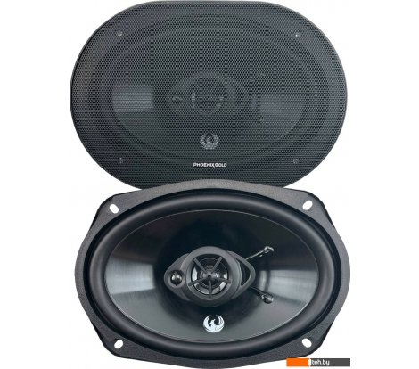  - Автоакустика Phoenix Gold Z69CXi - Z69CXi