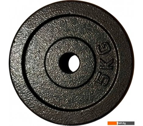  - Гантели, гири, штанги ZEZ Sport DK-5 (окрашенный) - DK-5 (окрашенный)