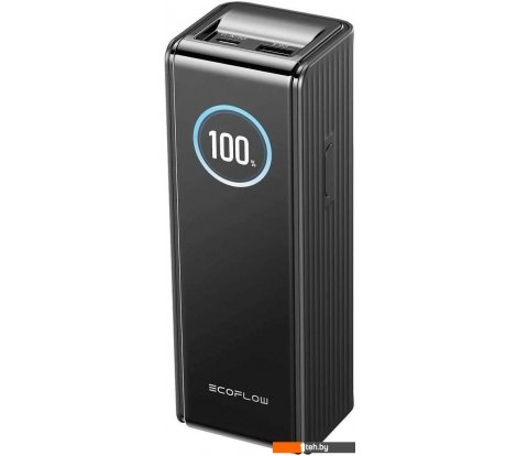  - Портативные зарядные устройства EcoFlow Rapid 25000mAh (без кабелей, 170 Вт, черный) - Rapid 25000mAh (без кабелей, 170 Вт, черный)