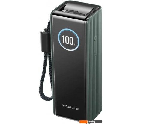  - Портативные зарядные устройства EcoFlow Rapid 25000mAh (с кабелями 100 Вт, 170 Вт, зеленый) - Rapid 25000mAh (с кабелями 100 Вт, 170 Вт, зеленый)
