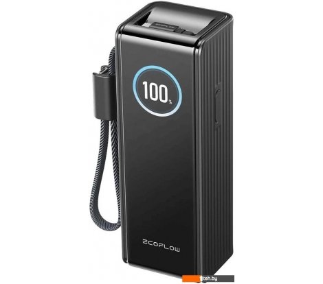  - Портативные зарядные устройства EcoFlow Rapid 25000mAh (с кабелями 100 Вт, 170 Вт, черный) - Rapid 25000mAh (с кабелями 100 Вт, 170 Вт, черный)